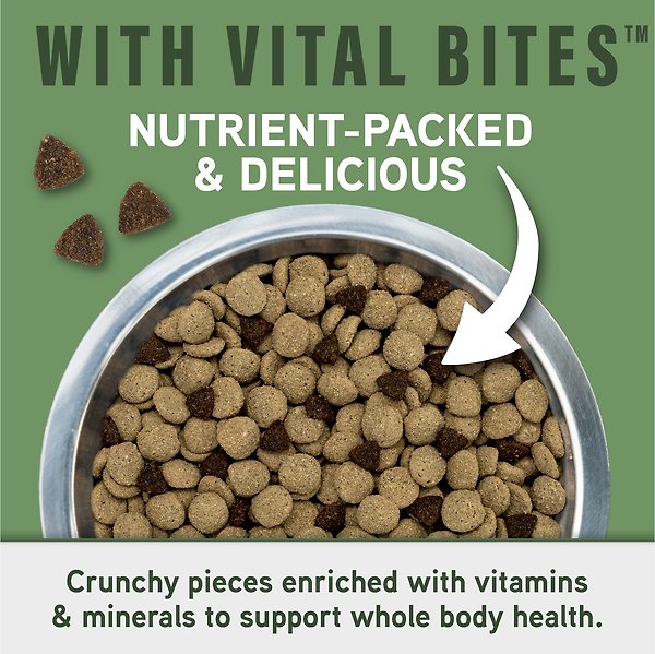 Show full view: Natural Balance Specialized Nutrition Digestive & Immune Health Adult Lamb & Oatmeal Formula Dry Dog Food, 22-lb bag slide 6 of 9