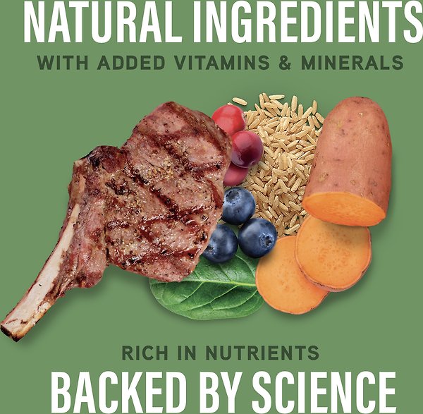 Show full view: Natural Balance Specialized Nutrition Digestive & Immune Health Adult Lamb & Brown Rice Formula Wet Dog Food, 12.7-oz can, case of 12 slide 6 of 9