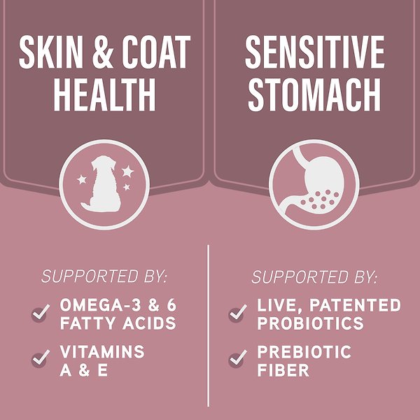 Show full view: Natural Balance Specialized Nutrition Sensitive Skin & Stomach Adult Salmon & Oatmeal Formula Dry Dog Food, 22-lb bag slide 5 of 9