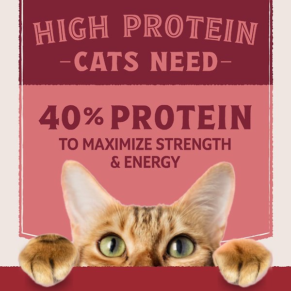 Show full view: Natural Balance Ultra Protein Salmon & Chicken Meal Recipe Dry Cat Food, 3-lb bag slide 4 of 9