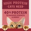Show in main carousel: Natural Balance Ultra Protein Salmon & Chicken Meal Recipe Dry Cat Food, 3-lb bag slide 4 of 9