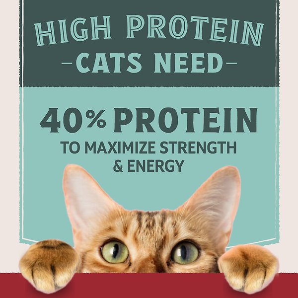 Show full view: Natural Balance Ultra Protein Chicken & Chicken Meal Recipe Dry Cat Food, 10-lb bag slide 4 of 9