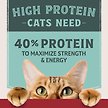 Show in main carousel: Natural Balance Ultra Protein Chicken & Chicken Meal Recipe Dry Cat Food, 10-lb bag slide 4 of 9