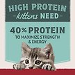 Show in main carousel: Natural Balance Ultra Protein Chicken & Chicken Meal Recipe Kitten Dry Cat Food, 6-lb bag slide 4 of 9