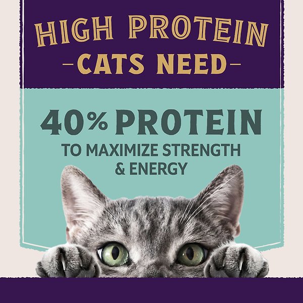 Show full view: Natural Balance Ultra Protein Plus Immune & Digestive Health Chicken & Chicken Meal Dry Cat Food, 5-lb bag slide 4 of 9