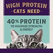 Show in main carousel: Natural Balance Ultra Protein Plus Immune & Digestive Health Chicken & Chicken Meal Dry Cat Food, 5-lb bag slide 4 of 9