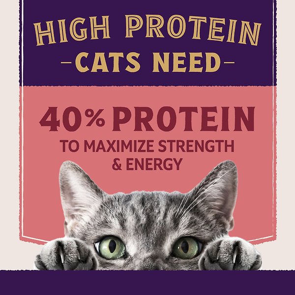 Show full view: Natural Balance Ultra Protein Plus Skin & Coat & Digestive Health Salmon & Chicken Meal Recipe Dry Cat Food, 5-lb bag slide 4 of 9