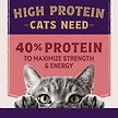 Show in main carousel: Natural Balance Ultra Protein Plus Skin & Coat & Digestive Health Salmon & Chicken Meal Recipe Dry Cat Food, 5-lb bag slide 4 of 9