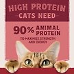 Show in main carousel: Natural Balance Ultra Protein Real Salmon Recipe with Protein-Rich Organs Pate Wet Cat Food, 2.8-oz can, case of 12 slide 4 of 8