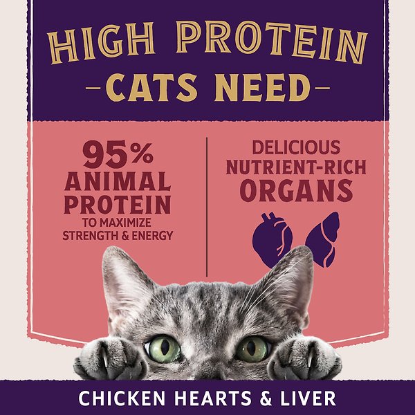 Show full view: Natural Balance Ultra Protein Plus Skin, Coat & Digestive Health Real Salmon with Pumpkin Puree Wet Cat Food, 2.4-oz pouch, case of 12 slide 5 of 9