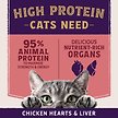 Show in main carousel: Natural Balance Ultra Protein Plus Skin, Coat & Digestive Health Real Salmon with Pumpkin Puree Wet Cat Food, 2.4-oz pouch, case of 12 slide 5 of 9