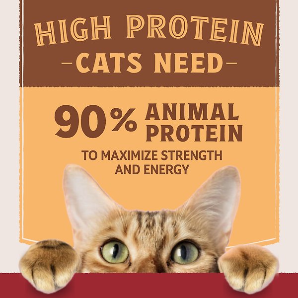 Show full view: Natural Balance Ultra Protein Real Duck Recipe with Protein-Rich Organs Pate Wet Cat Food, 2.8-oz can, case of 12 slide 5 of 9