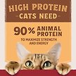Show in main carousel: Natural Balance Ultra Protein Real Duck Recipe with Protein-Rich Organs Pate Wet Cat Food, 2.8-oz can, case of 12 slide 5 of 9