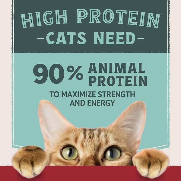 Show full view: Natural Balance Ultra Protein Real Chicken Recipe with Protein-Rich Organs Pate Wet Cat Food, 2.8-oz can, case of 12 slide 5 of 9