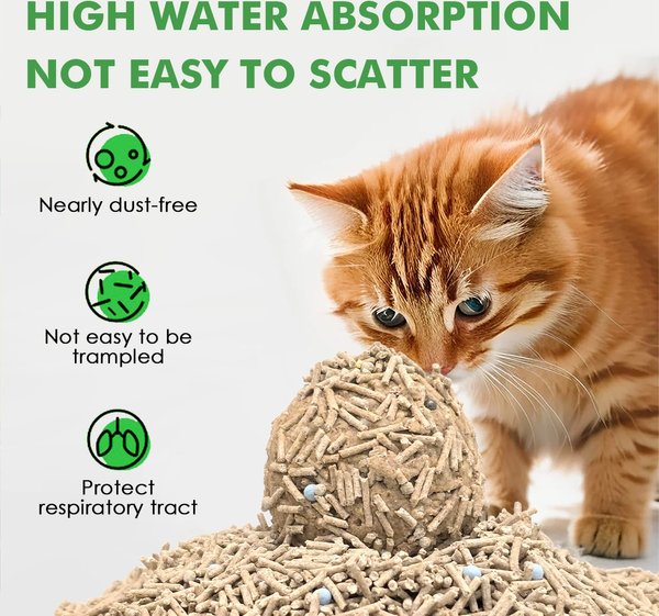 Show full view: Noisy Lion Green Tea Tofu Cat Litter, 2.4-kg pack slide 8 of 9
