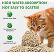 Show in main carousel: Noisy Lion Green Tea Tofu Cat Litter, 2.4-kg pack slide 8 of 9