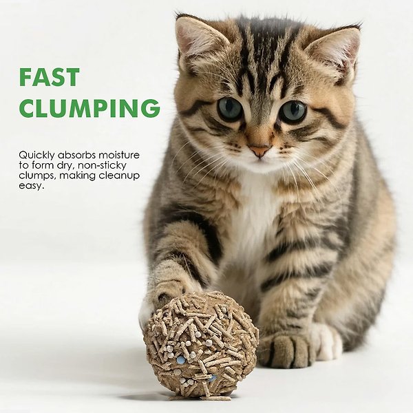 Show full view: Noisy Lion Green Tea Tofu Cat Litter, 2.4-kg pack slide 7 of 9