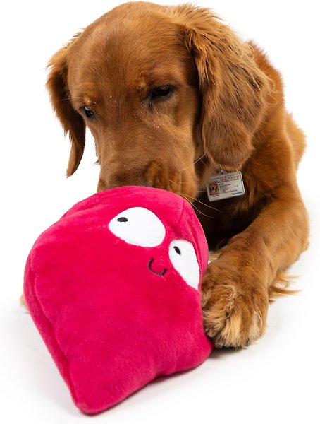 Show full view: Huxley & Kent Pop 'N Fetch Beet Dog Plush Toy, Large slide 9 of 9