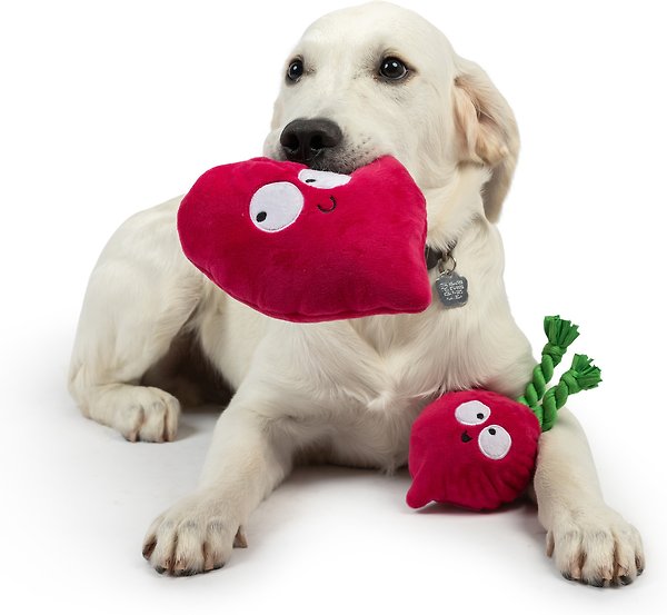 Show full view: Huxley & Kent Pop 'N Fetch Beet Dog Plush Toy, Large slide 6 of 9