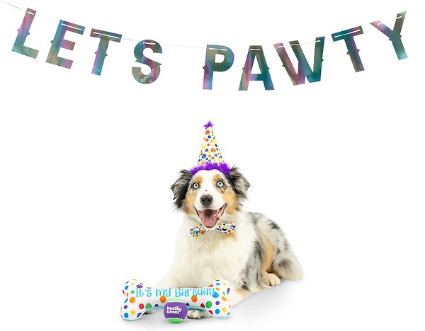 Show full view: Huxley & Kent Celebration Box Happy Barkday Dog Plush Toy, Large slide 6 of 7