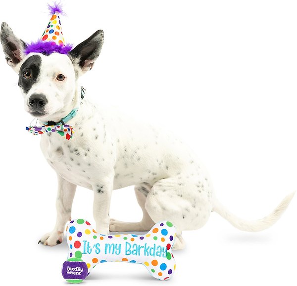 Show full view: Huxley & Kent Celebration Box Happy Barkday Dog Plush Toy, Small slide 4 of 6
