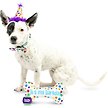 Show in main carousel: Huxley & Kent Celebration Box Happy Barkday Dog Plush Toy, Small slide 4 of 6