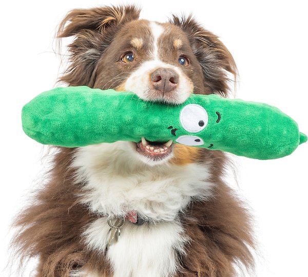 Show full view: Huxley & Kent Dog Fetchies Dell Pickle Dog Toy, Green, Small slide 7 of 8