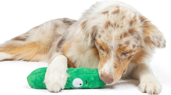 Show full view: Huxley & Kent Dog Fetchies Dell Pickle Dog Toy, Green, Small slide 6 of 8
