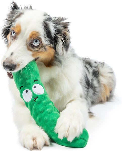 Show full view: Huxley & Kent Dog Fetchies Dell Pickle Dog Toy, Green, Small slide 4 of 8