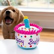 Show in main carousel: Huxley & Kent Dog Power Plush Happy Barkday Cake Dog Toy, Multicolor, Small slide 4 of 9