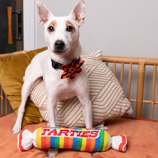 Show full view: Huxley & Kent Dog Power Plush Farties Dog Toy, Multicolor, Large slide 4 of 8