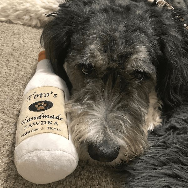 Show full view: Huxley & Kent Dog Power Plush Toto's Pawdka Dog Toy, Gray, Large slide 7 of 9