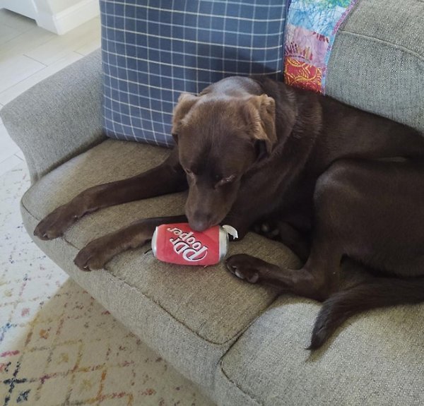 Show full view: Huxley & Kent Dog Power Plush Dr Pooper Dog Toy, Red, Large slide 5 of 5