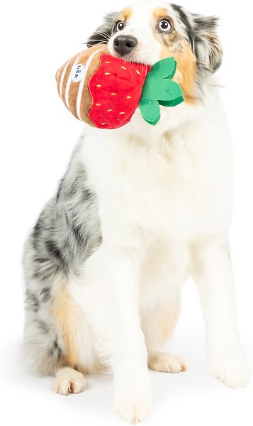 Show full view: Huxley & Kent Dog Power Plush Chocolate Strawberry Dog Toy, Red, Small slide 5 of 7