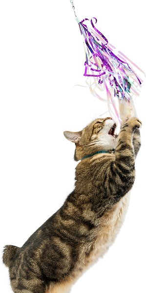 Show full view: Huxley & Kent Cat Wand Refill 2 Pack Dragonfly Streamers Cat Toy, Purple slide 4 of 4
