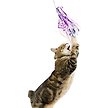 Show in main carousel: Huxley & Kent Cat Wand Refill 2 Pack Dragonfly Streamers Cat Toy, Purple slide 4 of 4