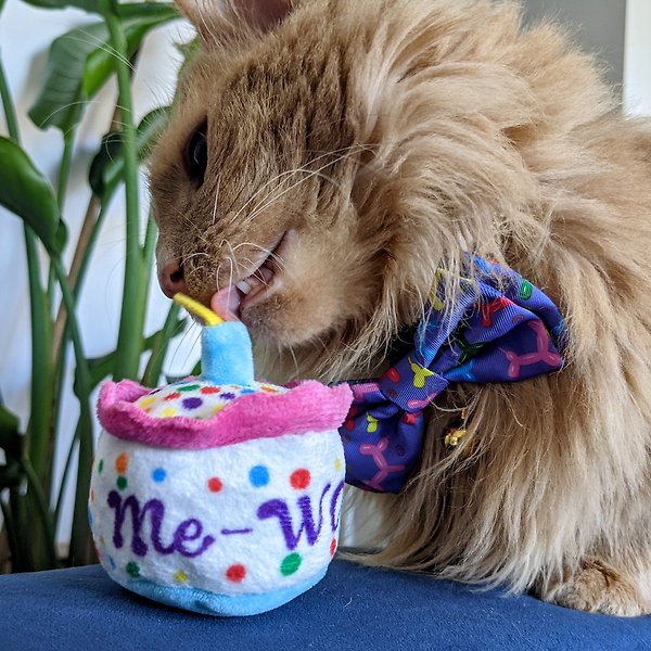 Show full view: Huxley & Kent Cat Mewow Cake Cat Toy, Multicolor slide 6 of 8