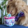 Show in main carousel: Huxley & Kent Cat Mewow Cake Cat Toy, Multicolor slide 6 of 8