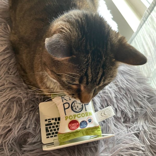 Show full view: Huxley & Kent Cat Kitty Pop Cat Toy, White/Green/Red slide 9 of 9