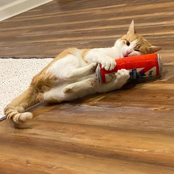 Show full view: Huxley & Kent Cat Kicker Cats Belly Rubbin Cat Toy, Red/White/Blue slide 9 of 9