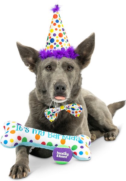 Show full view: Huxley & Kent Celebration Box Happy Barkday Dog Plush Toy, Large slide 4 of 7