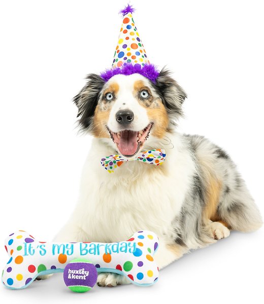 Show full view: Huxley & Kent Celebration Box Happy Barkday Dog Plush Toy, Large slide 5 of 7
