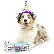 Show in main carousel: Huxley & Kent Celebration Box Happy Barkday Dog Plush Toy, Large slide 5 of 7