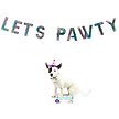 Show in main carousel: Huxley & Kent Celebration Box Happy Barkday Dog Plush Toy, Small slide 5 of 6