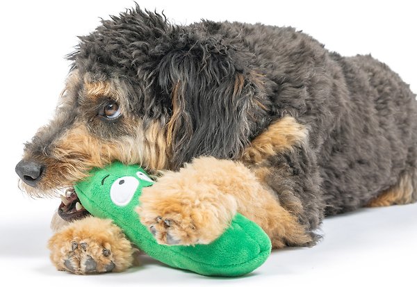 Show full view: Huxley & Kent Dog Fetchies Dell Pickle Dog Toy, Green, Small slide 5 of 8