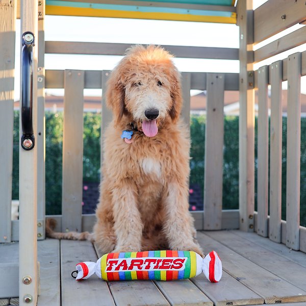 Show full view: Huxley & Kent Dog Power Plush Farties Dog Toy, Multicolor, Large slide 8 of 8