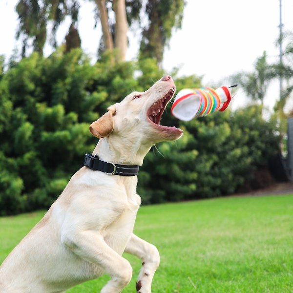 Show full view: Huxley & Kent Dog Power Plush Farties Dog Toy, Multicolor, Large slide 6 of 8