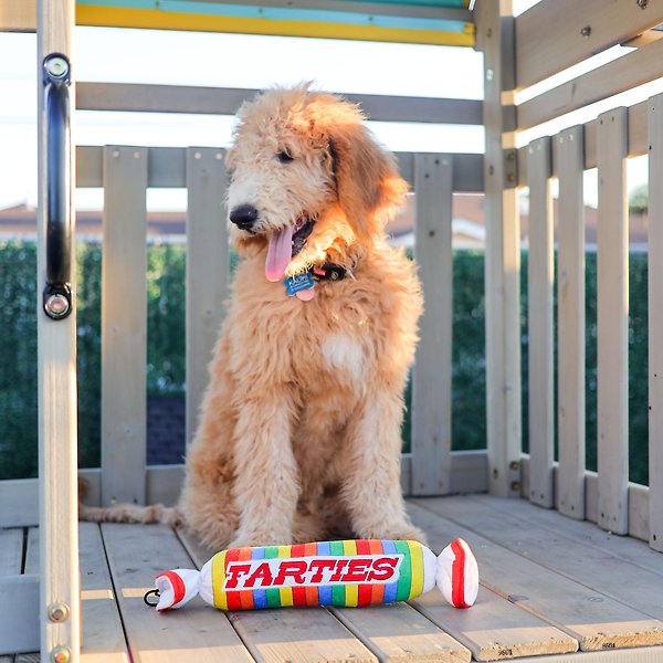 Show full view: Huxley & Kent Dog Power Plush Farties Dog Toy, Multicolor, Large slide 7 of 8