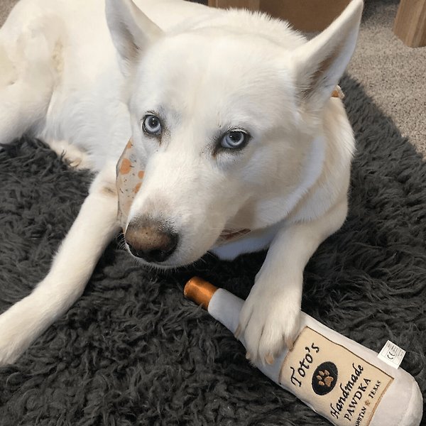 Show full view: Huxley & Kent Dog Power Plush Toto's Pawdka Dog Toy, Gray, Large slide 9 of 9