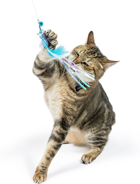 Show full view: Huxley & Kent Cat Wand Wire Dragonfly & Mouse Cat Toy, Blue/Gray/Yellow slide 4 of 9